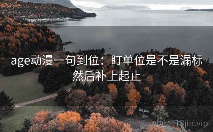 age动漫一句到位：盯单位是不是漏标然后补上起止